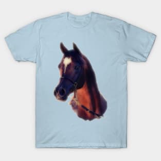 Arabian Stallion T-Shirt